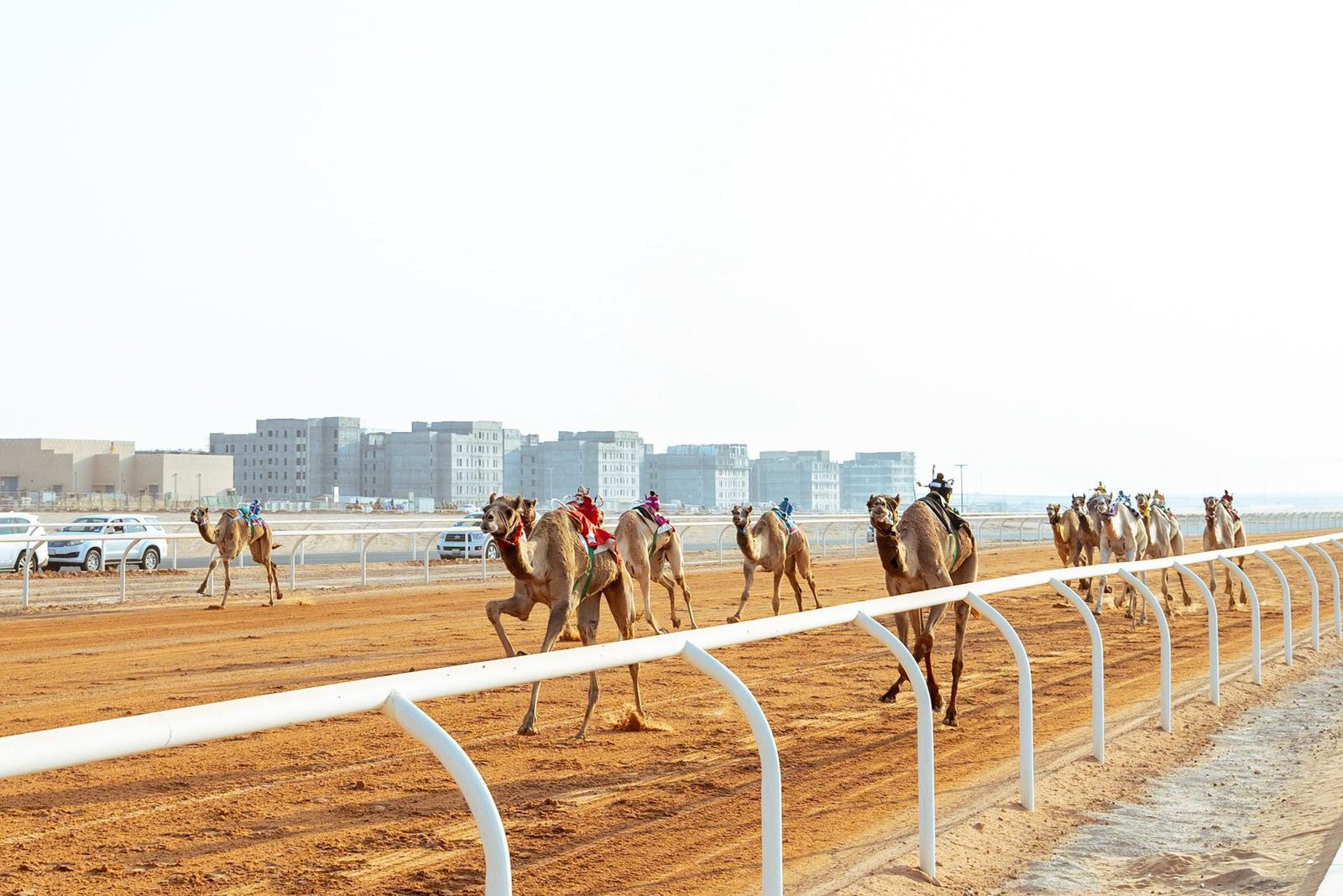 Financial Sustainability Strategy